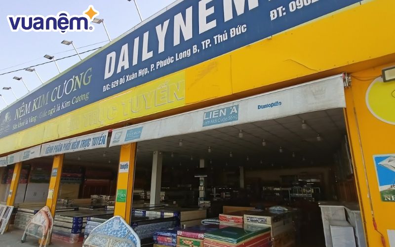 Dailynem.vn - Địa chỉ mua nệm ở Thủ Đức uy tín