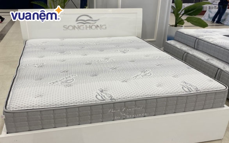 Sông Hồng là thương hiệu được nhiều người Việt tin dùng nhờ vào chất lượng và giá cả phải chăng