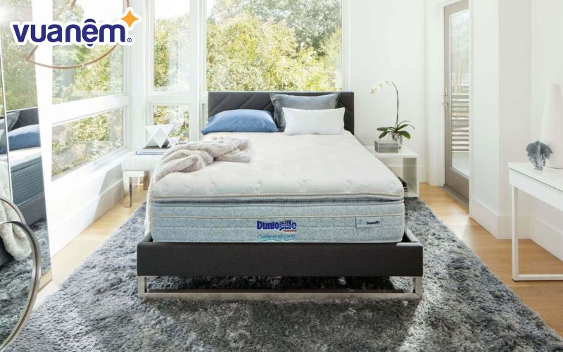 Đệm Dunlopillo vào thị trường Việt Nam từ năm 1997