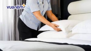 Gối lông vũ khách sạn 5 sao có gì khác biệt? 5 mẫu gối nên mua