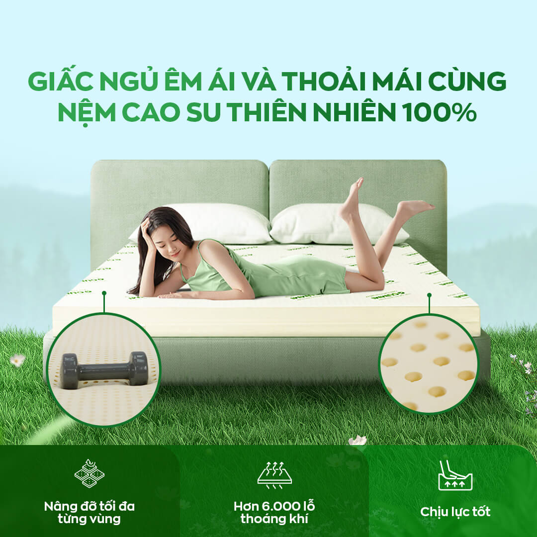 nệm cao su gummi classic nâng đỡ cơ thể hoàn hỏa