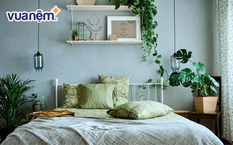 Đặt cây cảnh trong phòng ngủ với số lượng phù hợp