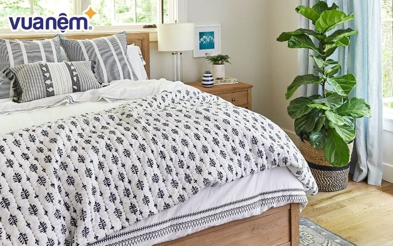 Không nên đặt quá nhiều cây xanh ở trong phòng ngủ