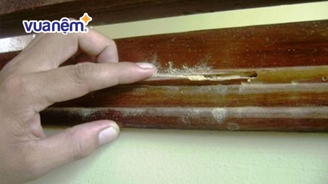 Cách xử lý giường gỗ bị ẩm mốc đơn giản, hiệu quả tại nhà