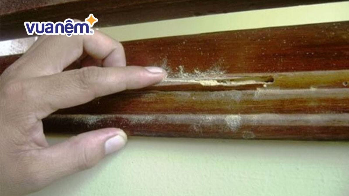 Cách xử lý giường gỗ bị ẩm mốc đơn giản, hiệu quả tại nhà