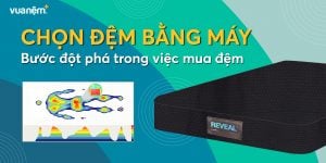 Máy đo áp lực cơ thể Reveal: Tạo bước đột phá khi bạn chọn mua nệm