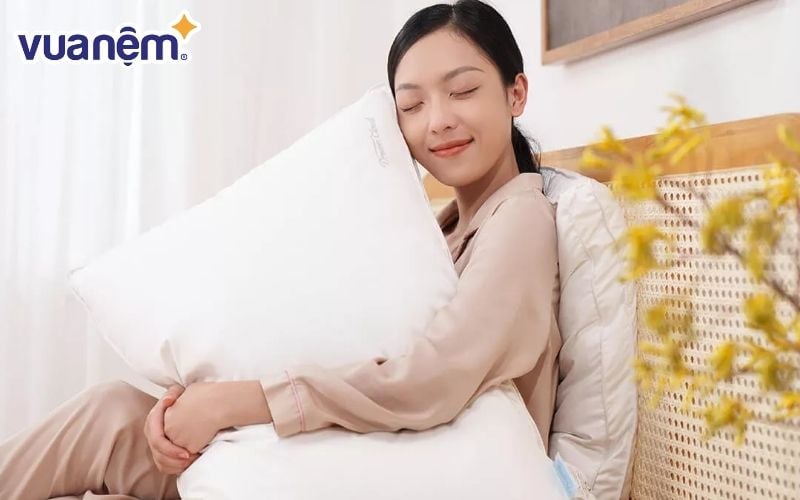 Gối lông vũ êm ái thương hiệu Doona Dream Cloud