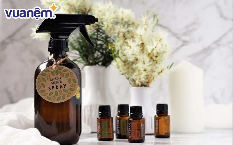 Túi thơm và tinh dầu là hai trong số những sản phẩm được sử dụng rất nhiều để chống ẩm mốc cho không khí trong phòng ngủ