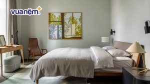 Cách chống ẩm mốc cho phòng ngủ đơn giản mà hiệu quả