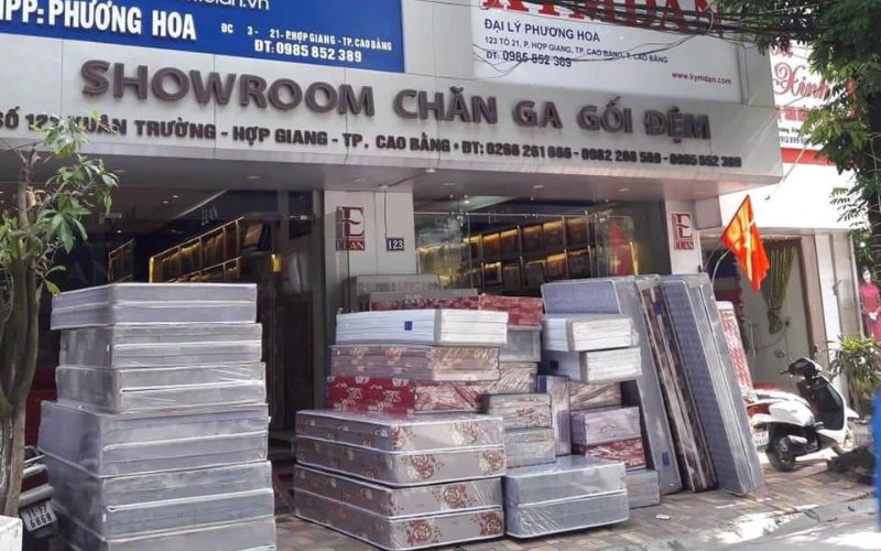 Cửa hàng ELAN Hải Phòng - Địa chỉ cung cấp chăn ga gối nệm uy tín