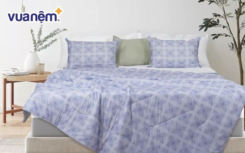 Mẫu chăn lạnh Amando Azami Light