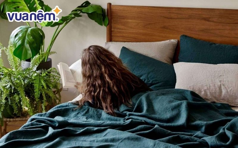 Các mẫu chăn lạnh hiện tại đều đa dạng về màu sắc, họa tiết
