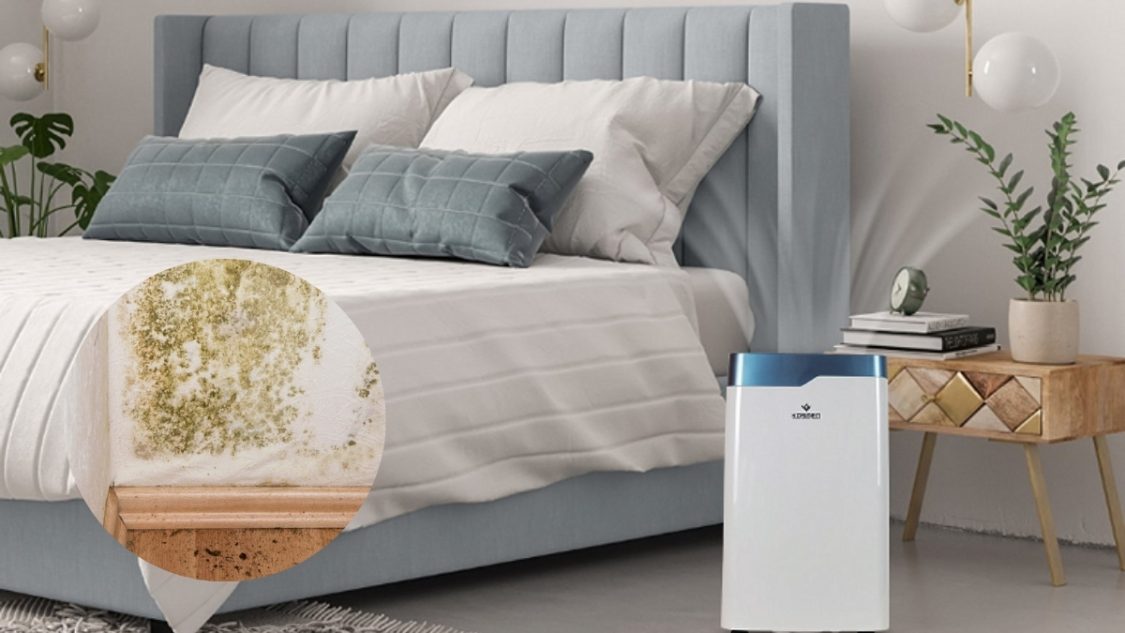 11 Tuyệt chiêu chống ẩm mốc phòng ngủ hiệu quả, dứt điểm
