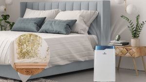 11 Tuyệt chiêu chống ẩm mốc phòng ngủ hiệu quả, dứt điểm