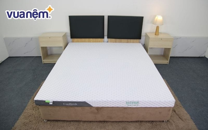 Nệm Tatana - Cửa hàng bán nệm Long An uy tín
