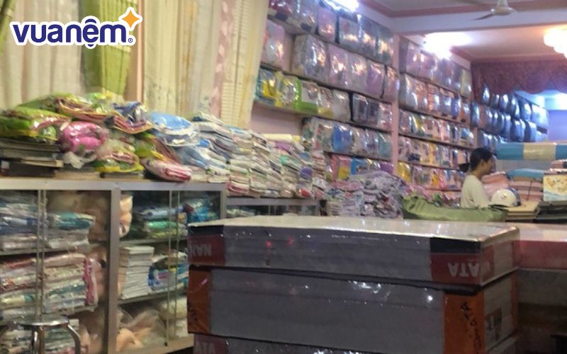 Mua nệm ở đâu Tiền Giang - Cửa hàng Kim Dung
