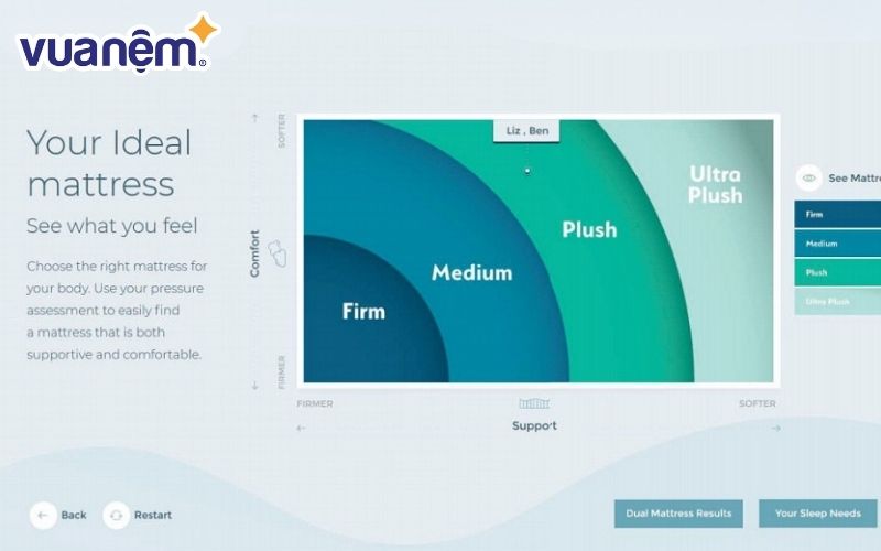 Hệ thống đưa ra gợi ý các loại nệm phù hợp dành cho bạn