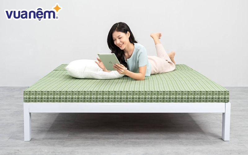 Nệm gấp 1m6x2m bông ép Goodnight Nova