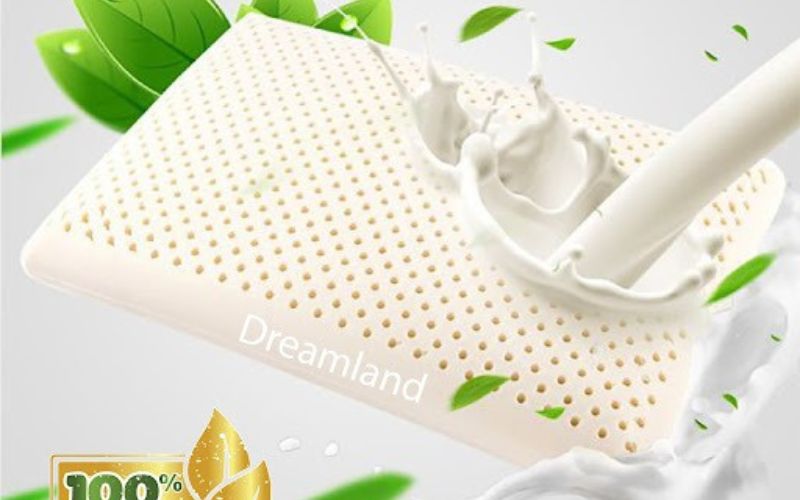 Gối cao su thiên nhiên Dreamland Ovan