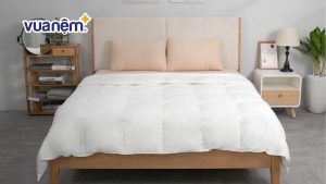 Khám phá những điều bạn không nên bỏ lỡ về chăn lông vũ