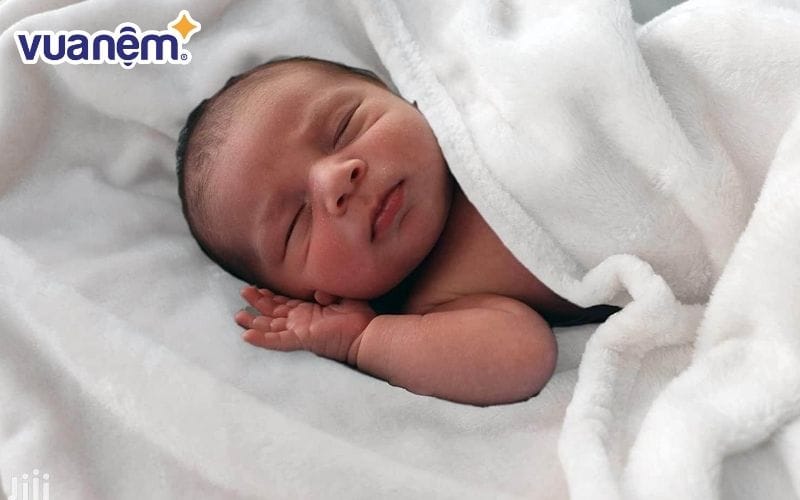 Thời gian sử dụng một chiếc chăn lông cừu sẽ dao động trong khoảng 5 – 10 năm.