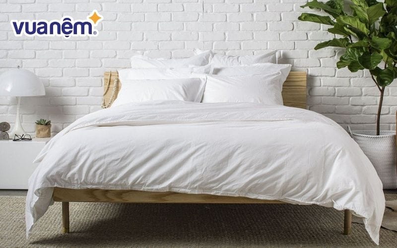 Cửa hàng nệm Phố Nệm - Mua bán chăn ga gối nệm Đồng Tháp