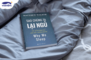 Review sách "Tại sao chúng ta lại ngủ"