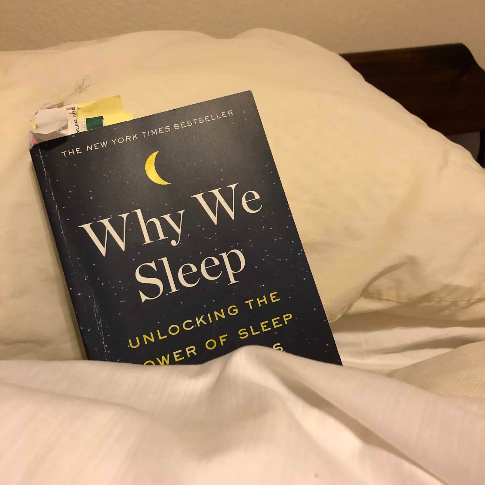Sách “Sao chúng ta lại ngủ” 