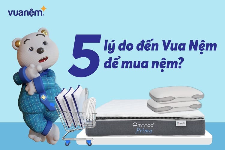 5 Lý do thuyết phục bạn đến Vua Nệm để mua nệm