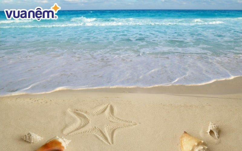 Nếu có thể, bạn hãy mở video và cảm nhận bằng cả thị giác lẫn thính giác để có hiệu quả bất ngờ.