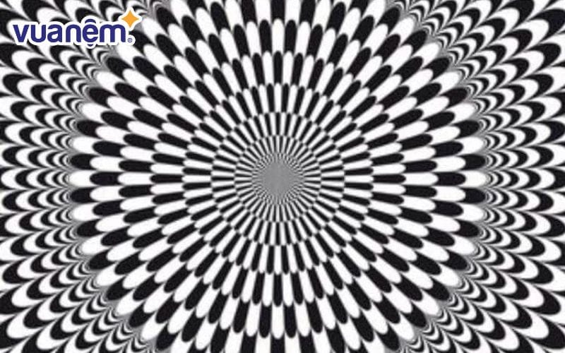 Khi nhìn kỹ, hình ảnh sẽ cuốn bạn vào sự chuyển động nhẹ nhàng của những vòng tròn.