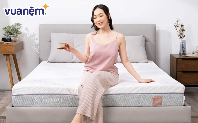 Nệm foam nâng đỡ 5 vùng Comfy Lux 1.0
