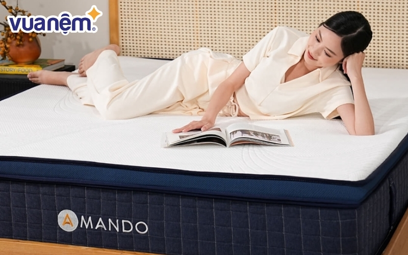 Nệm lò xo Amando Innovation 7 vùng