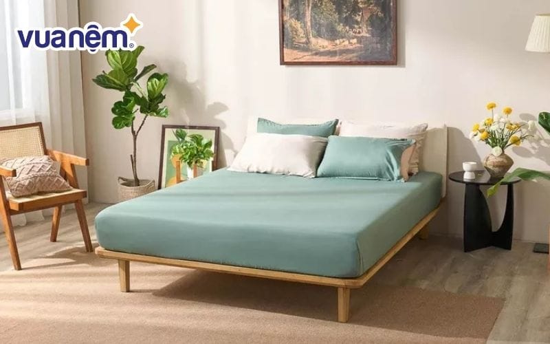 Bộ ga chun Amando Cozy micro satin màu xanh
