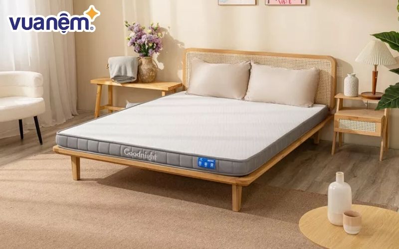 Nệm giá rẻ cho công nhân Goodnight Latex Hybrid (Rena)