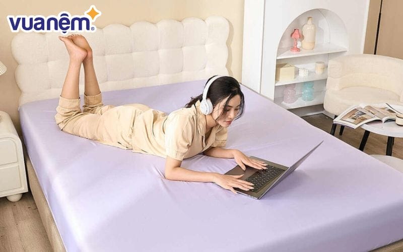 Ga giường từ vải tencel được đánh giá là sản phẩm cao cấp nên giá thành của chúng khá cao