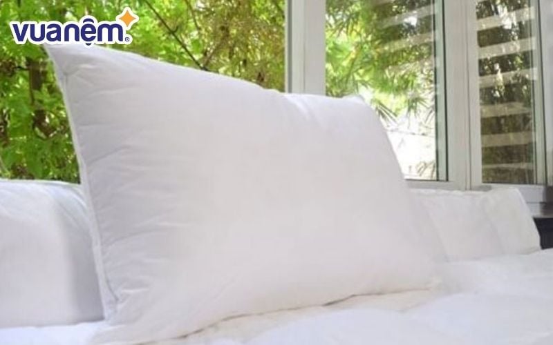 Gối lông vũ là gối có phần ruột được nhồi bằng lông của các loài như lông vịt, ngan, ngỗng
