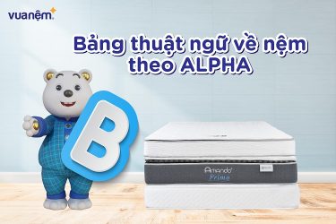 Bảng thuật ngữ về nệm