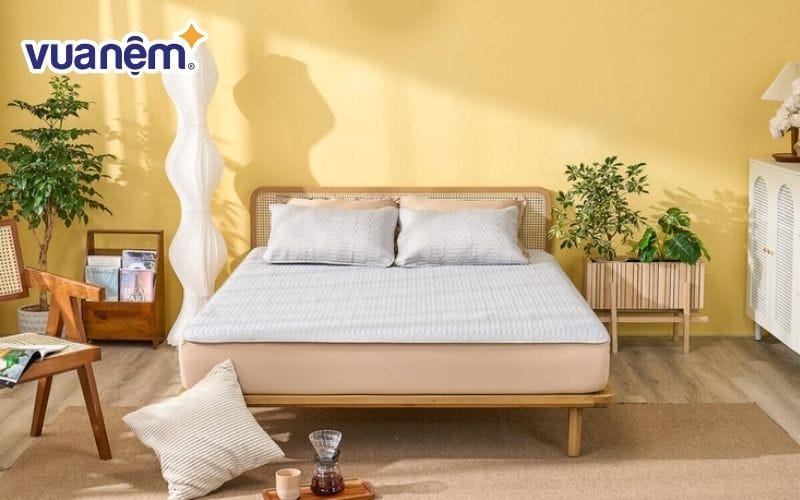 Chiếu điều hòa cao su Doona Aqua