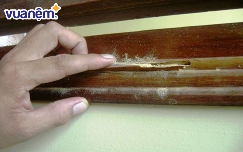 Giường có thể bị hư hỏng do tác động của môi trường trong quá trình sử dụng