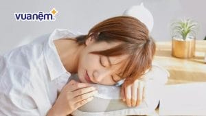 Gợi ý top 5 loại gối tựa cổ văn phòng phổ biến năm 2025