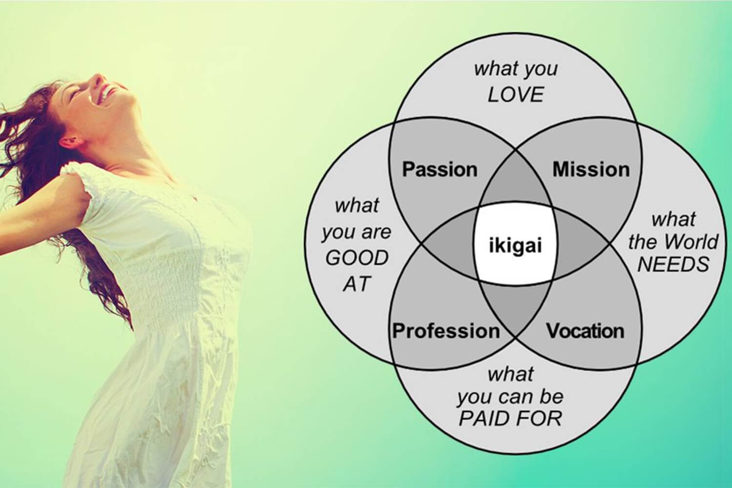 Ikigai là gì và những điều có thể bạn chưa biết? - Vua Nệm