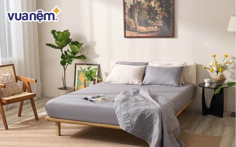 Không nên dùng lại giường của chủ nhân căn nhà cũ để lại 