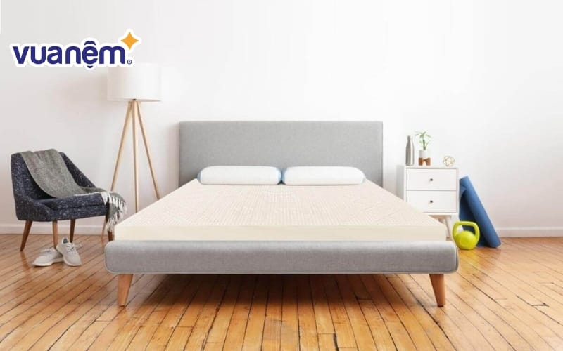 Nệm cao su Vạn Thành Segovia