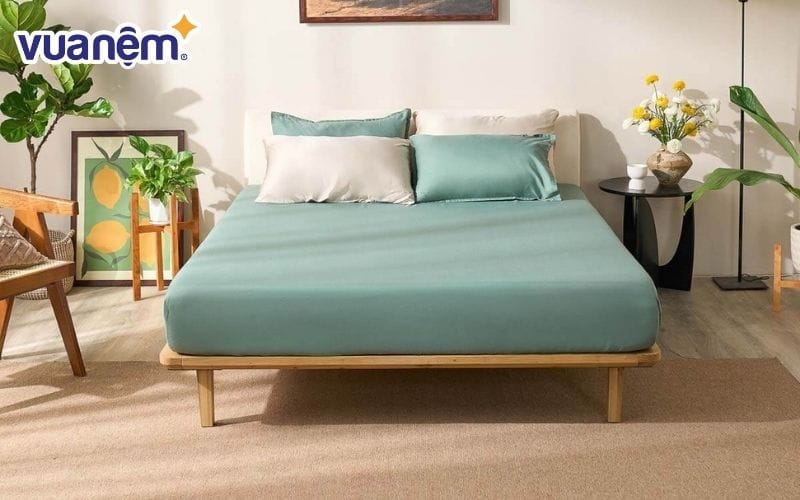 Amando Cozy là lựa chọn hài hòa dành cho người mệnh Mộc