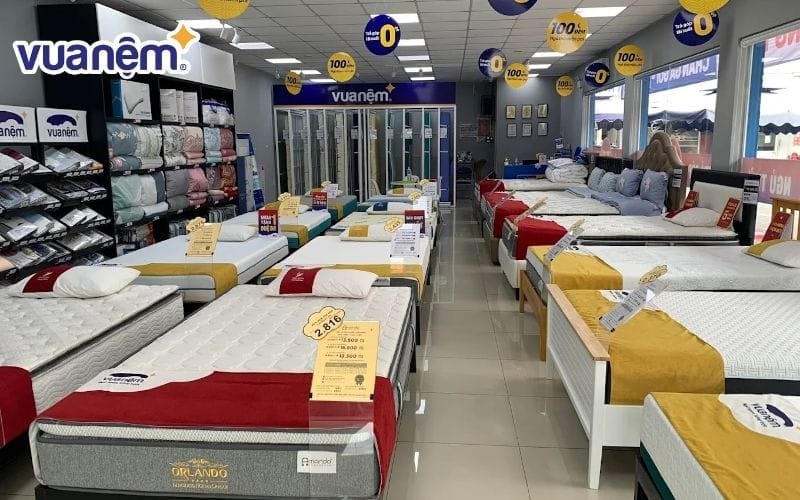 Mua chăn ga gối cho người mệnh Mộc tại Vua Nệm uy tín