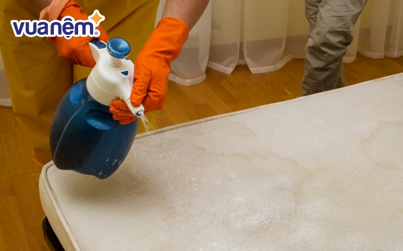 Trên thị trường có nhiều loại hóa chất tẩy rửa nấm mốc đen chuyên dụng