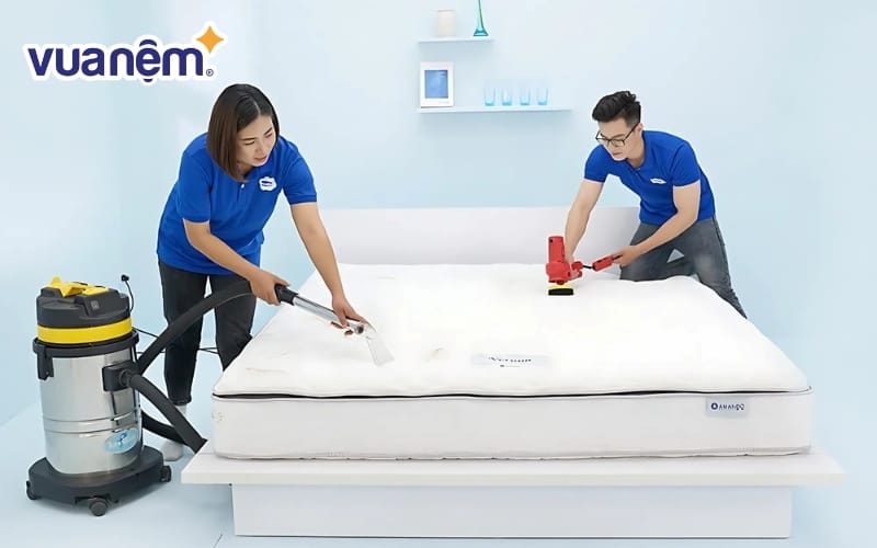 Dịch vụ vệ sinh nệm cao su uy tín của Vua Nệm