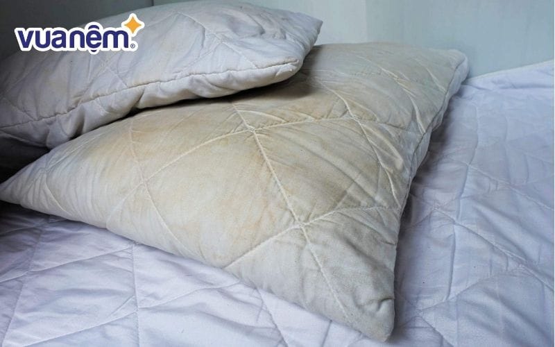 Sau một thời gian sử dụng, ruột gối có thể bị ố vàng