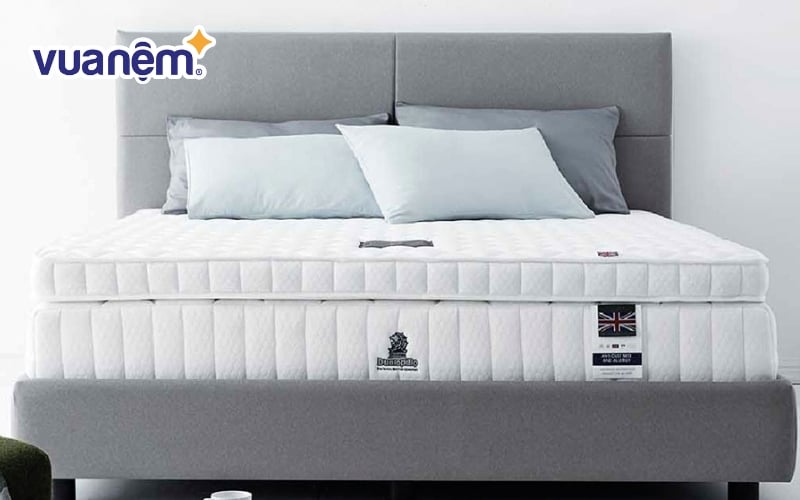 Dunlopillo là thương hiệu nệm hàng đầu thế giới